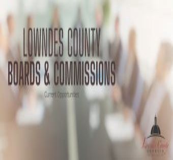 Board and Commissions Graphic -
